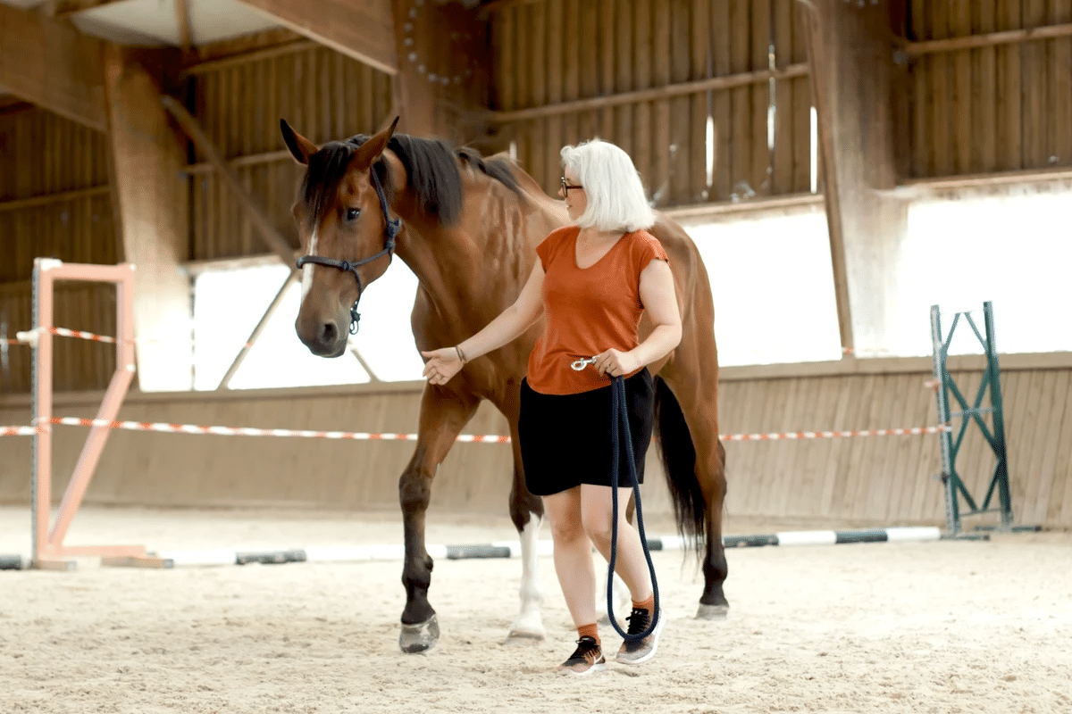 imgi_5_450875_441855